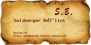 Salzberger Bálint névjegykártya